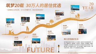 发展历程