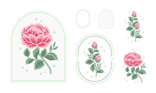 玫瑰图案装饰元素集合