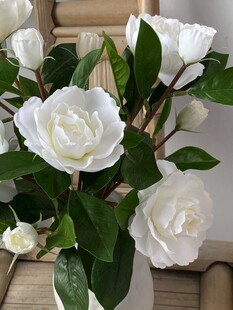 白色栀子花插于花瓶中