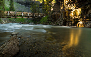 山间溪流旁梦幻光影景致