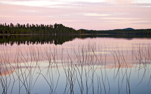 宁静湖面的绝美黄昏景色