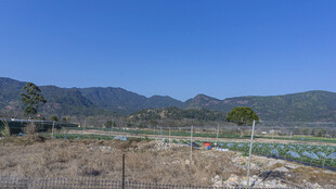 田野风光 远山近景