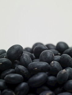 黑豆
