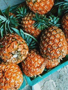 新鲜菠萝堆放在蓝色容器中