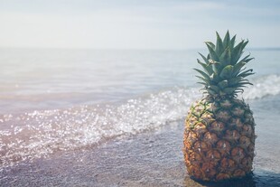 海边的菠萝