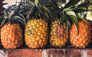 新鲜菠萝整齐摆放