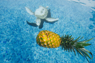 泳池中的菠萝与玩具