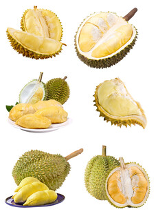 榴莲