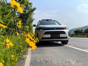 公路边黄花旁的行驶汽车