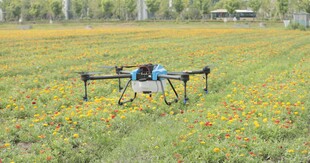 田野上的植保无人机