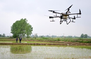 农田上的无人机作业场景