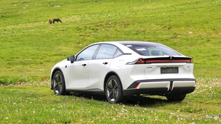 草地中停放的白色时尚轿车