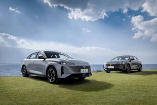 两辆炫酷SUV停于草地