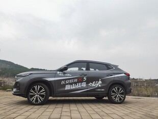 灰色SUV停于户外场地