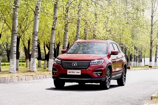 红色SUV行驶在林荫道上