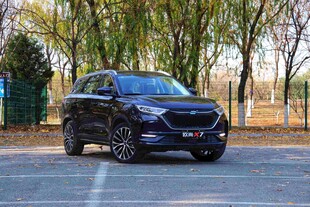 黑色SUV停于户外树林旁