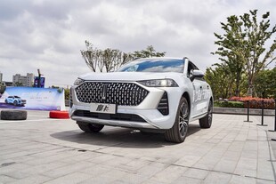 白色SUV户外展示