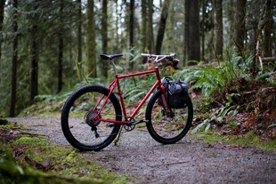 林间骑行的红色山地自行车