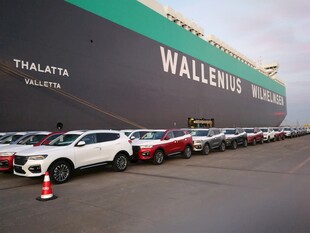 港口停满待运汽车