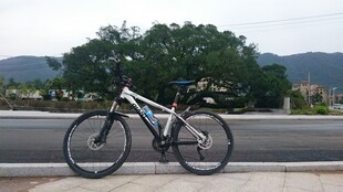 公路边停放的山地自行车