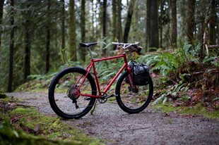 林间骑行的山地自行车