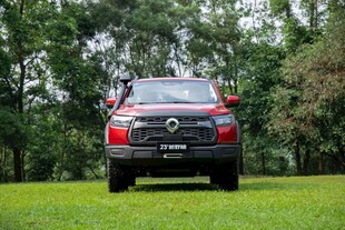 红色SUV停于绿意盎然处