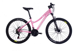 粉色时尚女士自行车