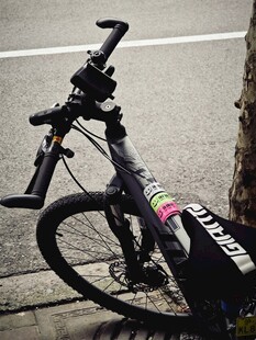 路边停放的彩色自行车