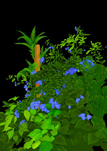 繁茂绿植与蓝色花朵景观