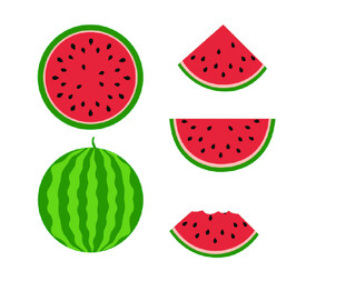多样西瓜造型插画 矢量图 扁平