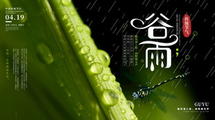 谷雨时节嫩绿叶片带水珠