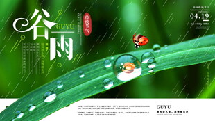 谷雨时节叶上晶莹水珠