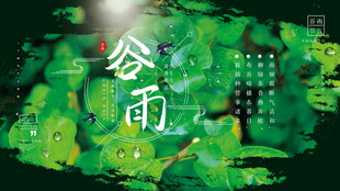 绿意盎然的谷雨时节景象