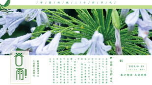 优雅玉簪花绽放绿意间