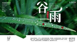 谷雨时节草尖露珠晶莹