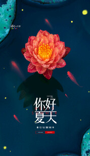 夏日绽放的娇艳红荷