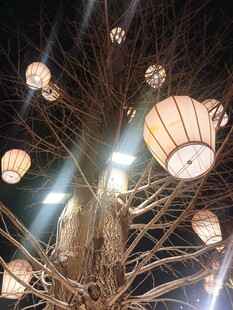 复古风多盏吊灯特写