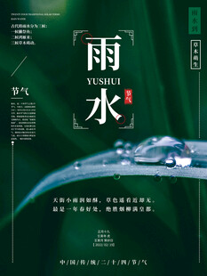 雨水海报