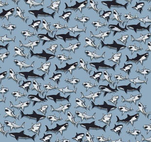 群鱼鲨鱼的壮观景象