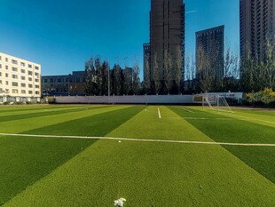 城市中的绿茵足球场