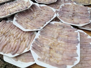湛江美食沙虫