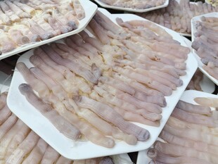 湛江美食沙虫