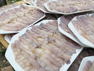 湛江美食沙虫