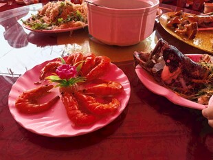 丰盛美食宴 精致佳肴呈现