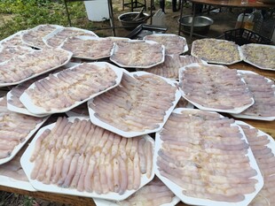 湛江美食沙虫