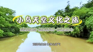 小鸟天堂文化之旅景