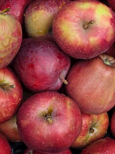 一堆色泽诱人的红苹果