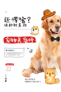 招聘宠物美容师