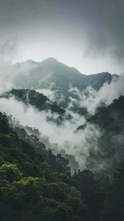 云雾缭绕的翠绿山峦