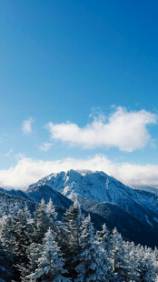 雪覆山林
